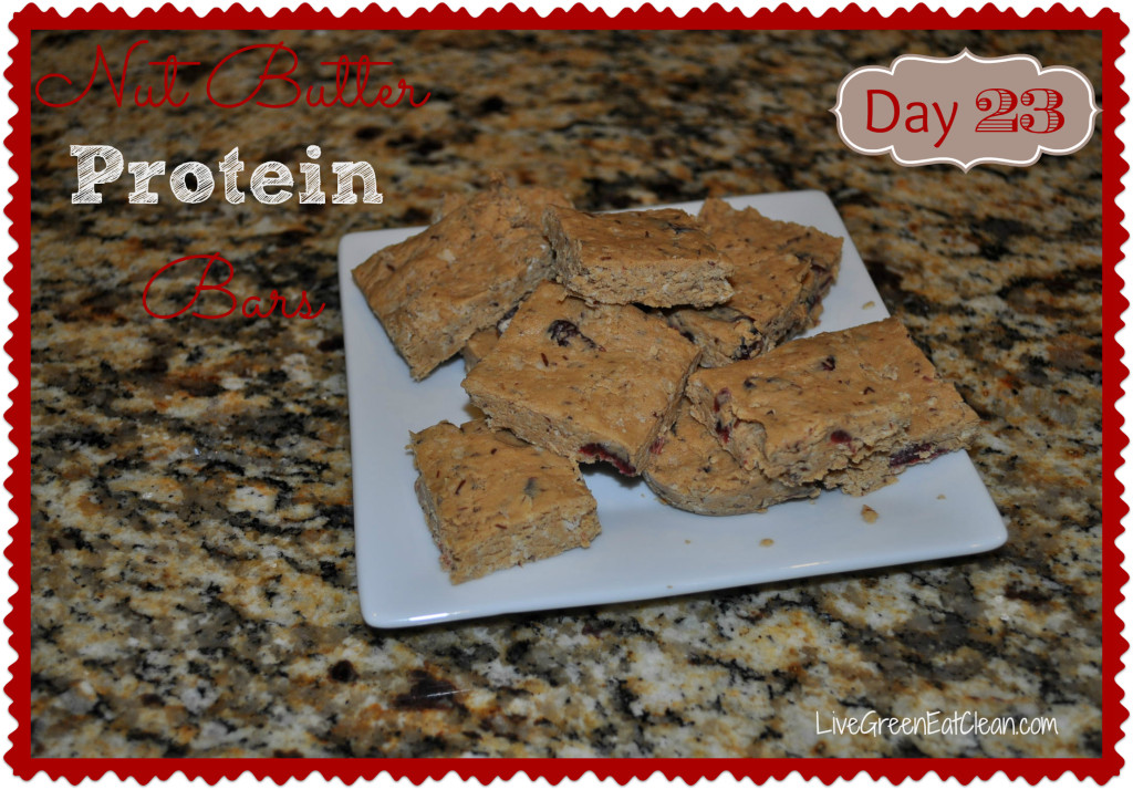 Day 23 Protein PB Bars Blog