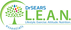 LEAN-Essentials-logo