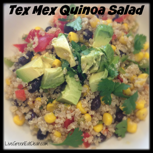 Tex Mex Quinoa Salad V2